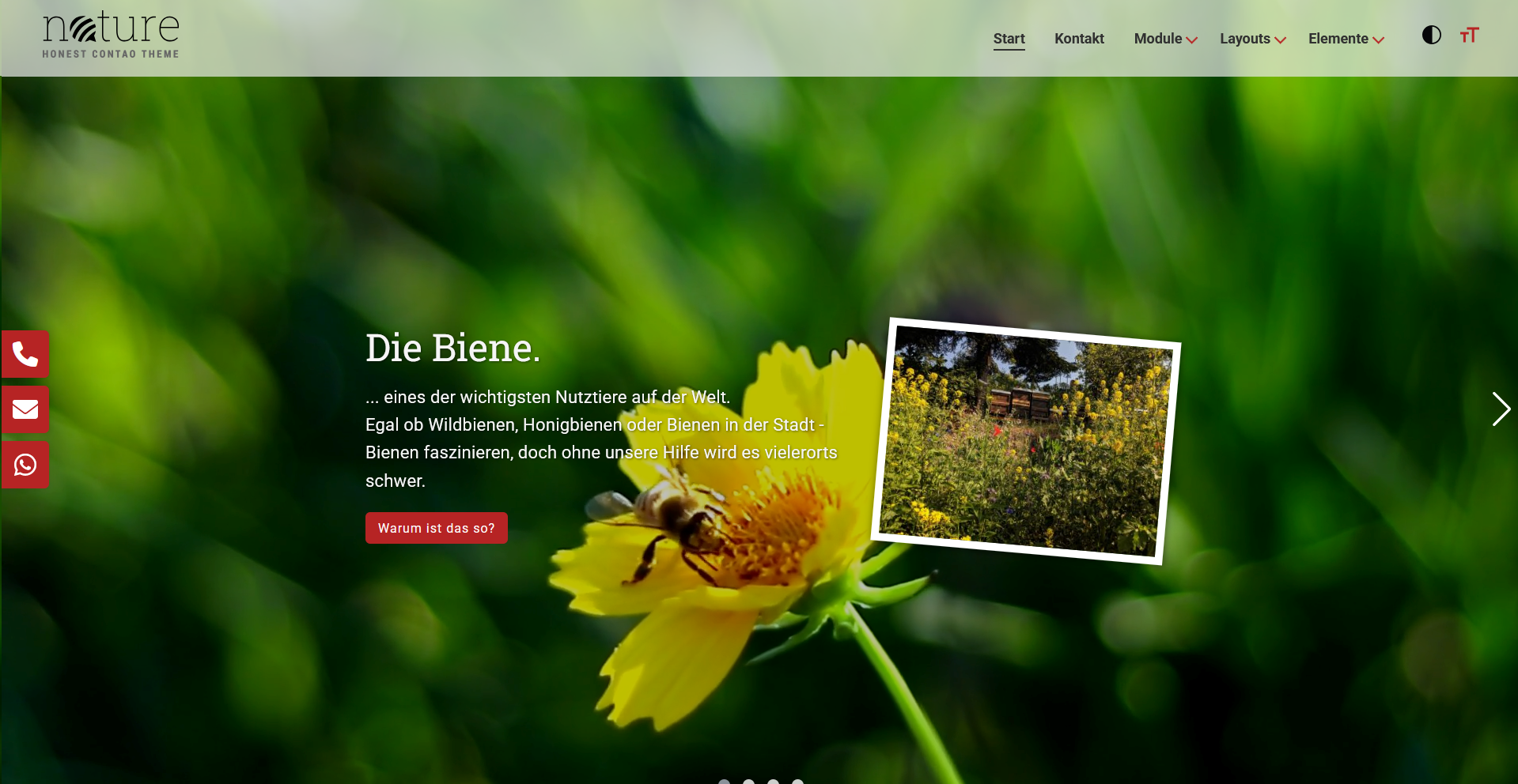 Bild Contao-Theme Nature